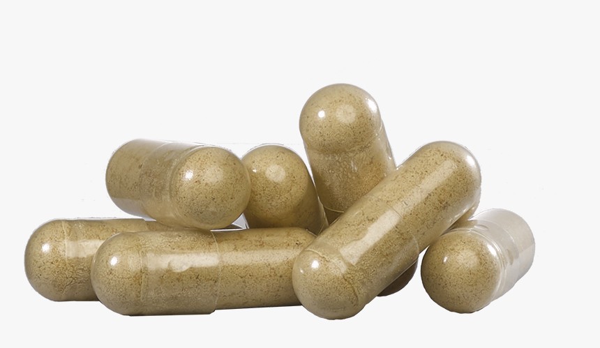 春药网站进入页面